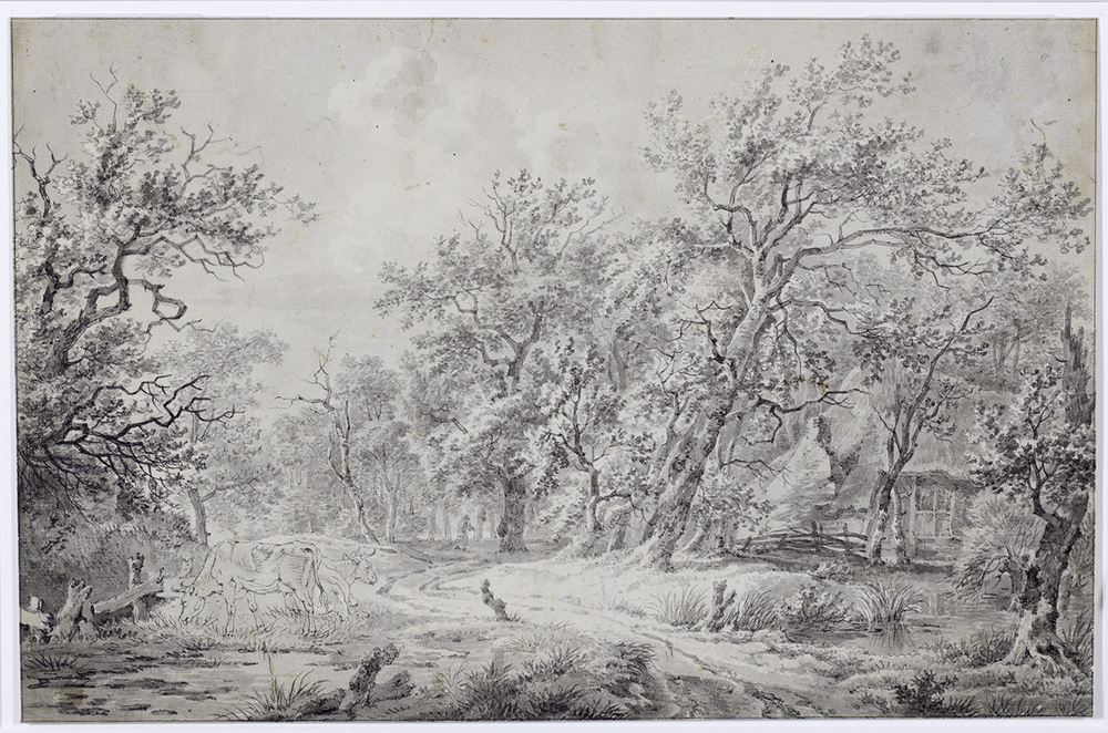 Boomrijk landschap met koeien